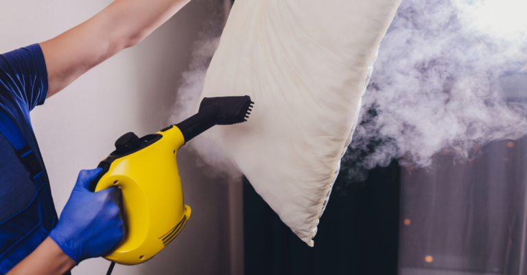 Best steam cleaner of 2025